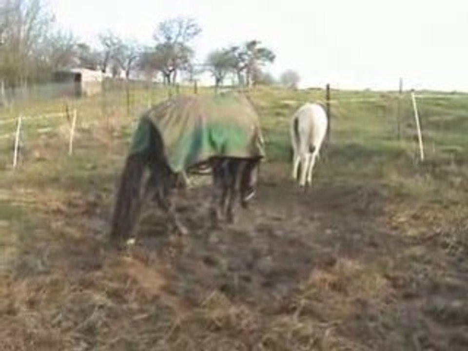 Petage de cable joujou