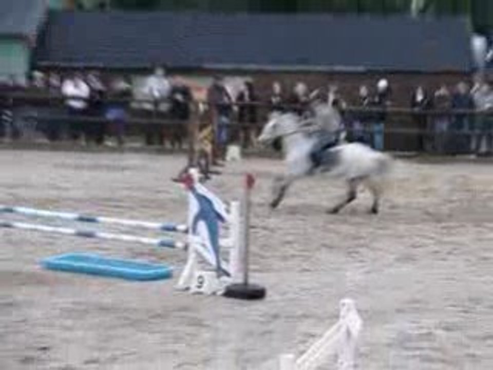 équitation cso guilers Loustic et camille