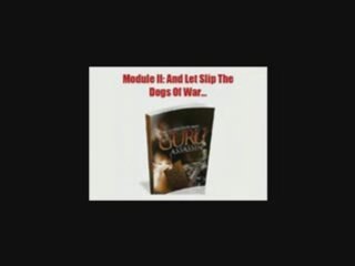 The Guru Assassin Video Reviews