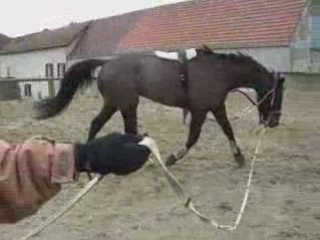 Longe philou 25/01/09 (4)