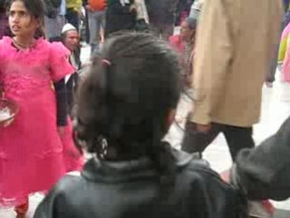 Picture 035