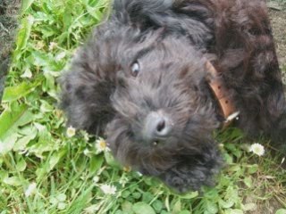 Video dusty et denvers - un an deja_0001