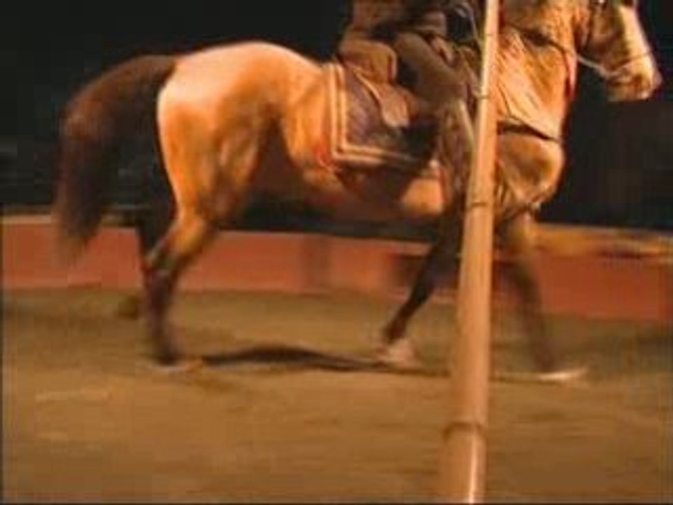 Equidia - Mélodie en Cheval Majeur - B.Boisliveau