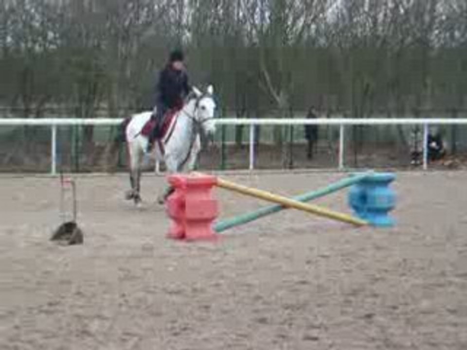 Hunter avec Nemo 2 (2)
