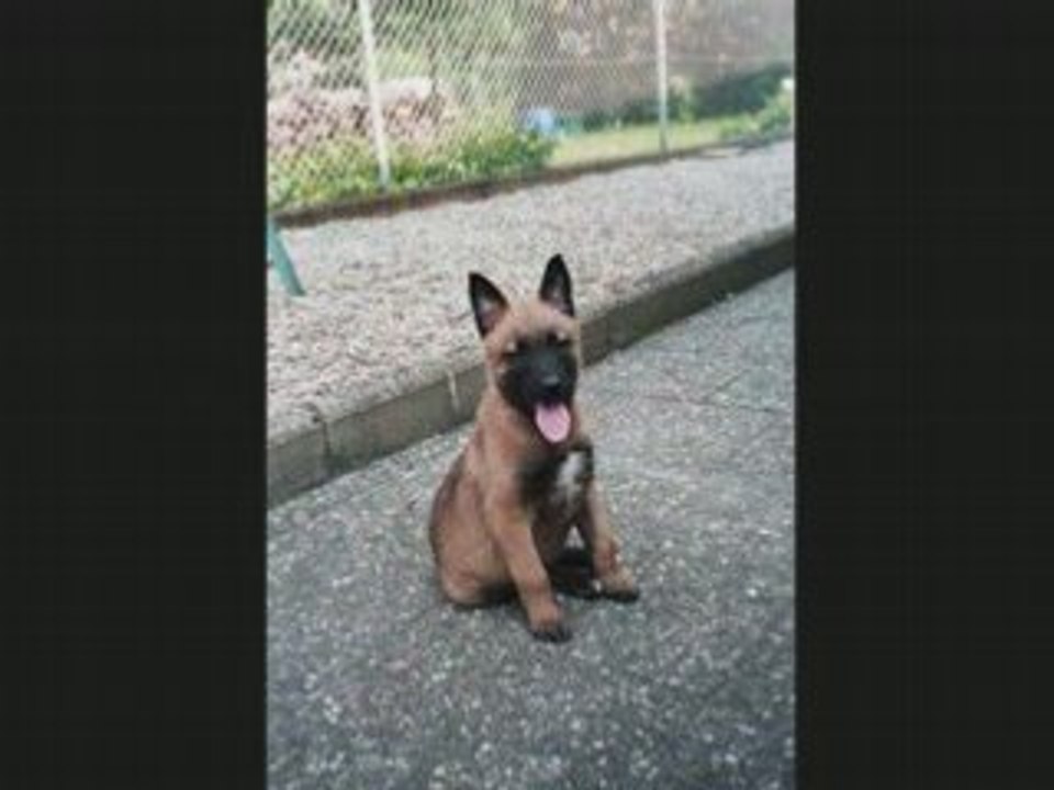 PORTRAIT DE SNIPER