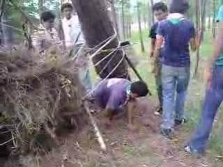 Tela de araña en campamento unidad scout