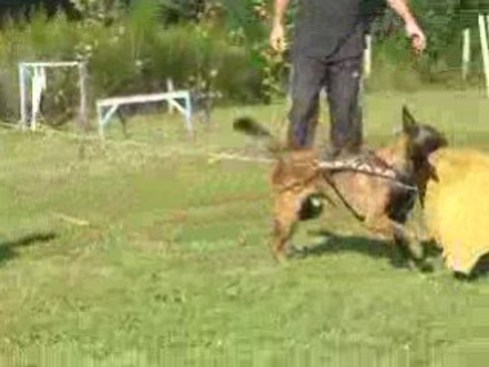 Caid à l'entrainement