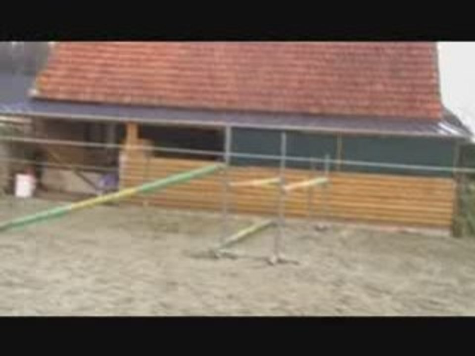 Qlearing saut en lib