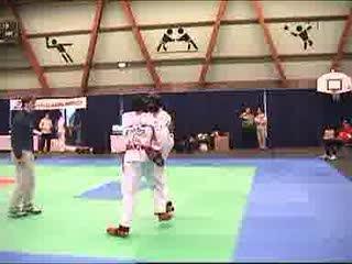 Taekwond- coup de pied a la tete