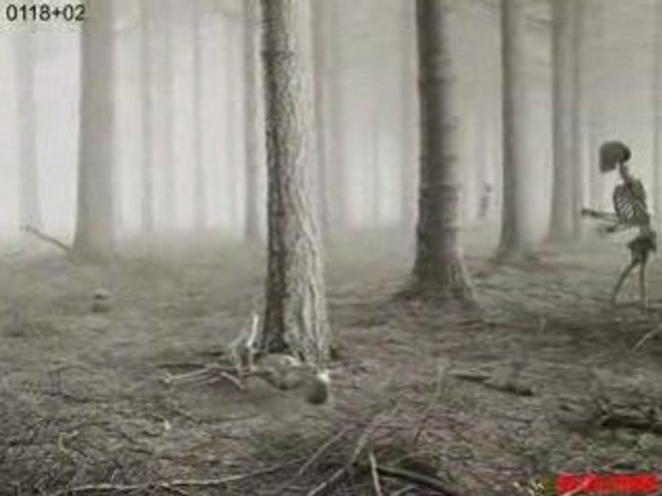 wood skeleton