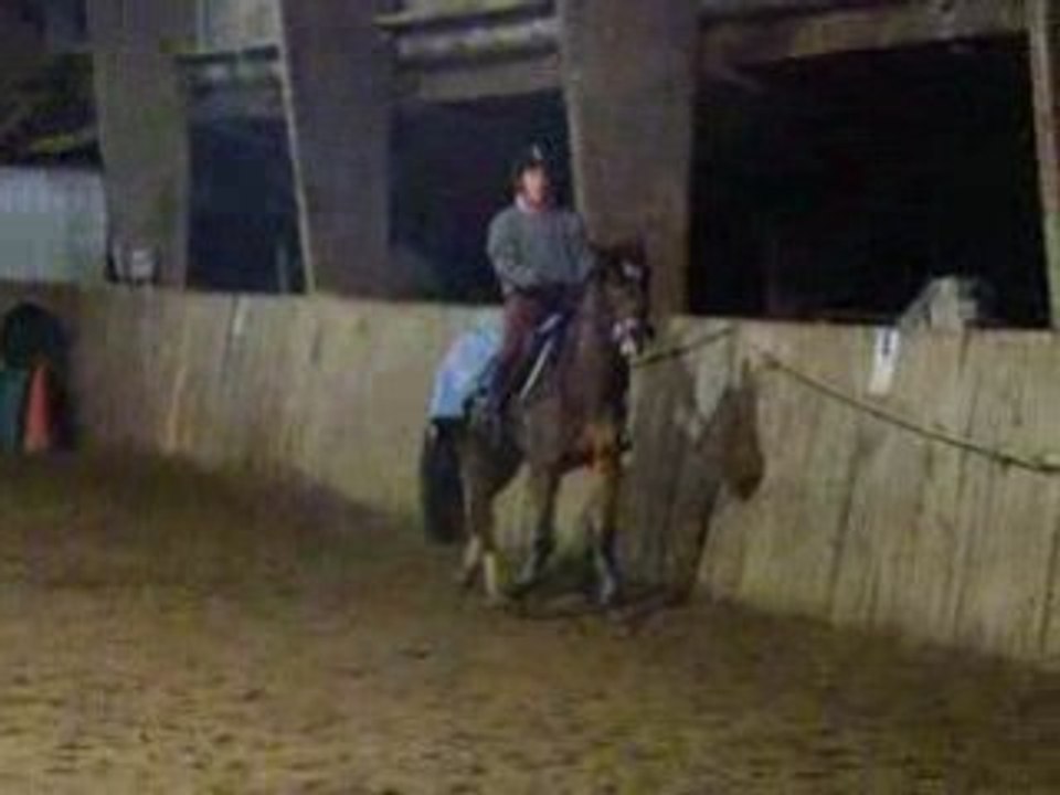 amélie et terminator