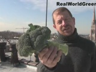 How to be Green in the Kitchen, Eat Less Meat