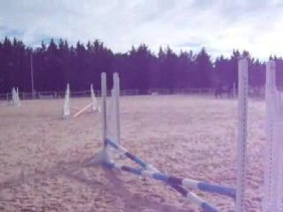Parcour avec Belle