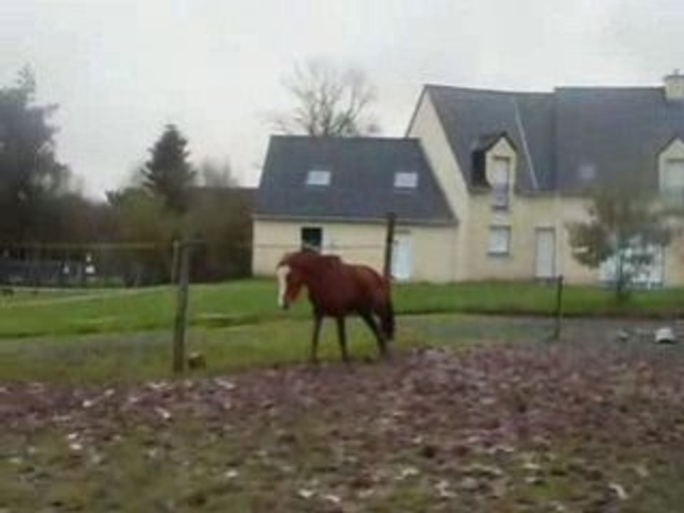 Inondations 25 janvier