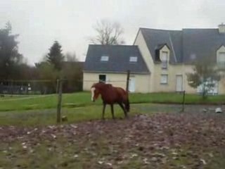 Inondations 25 janvier