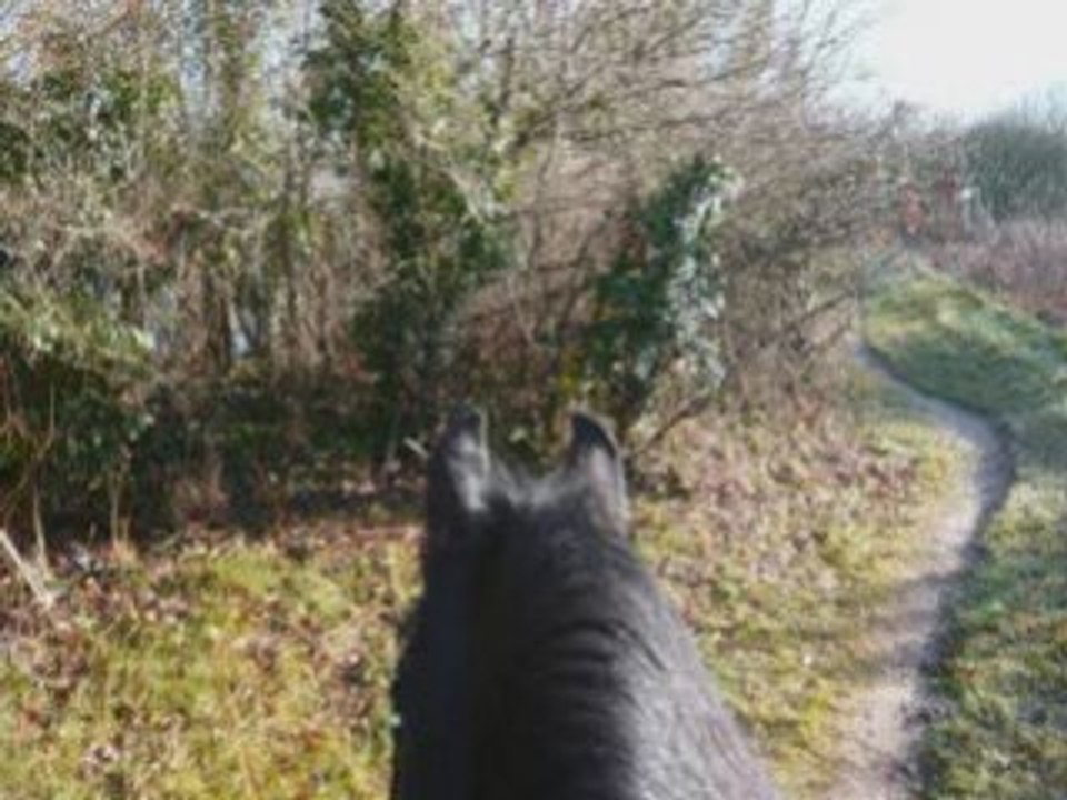 Ballade du 26 janvier 2009