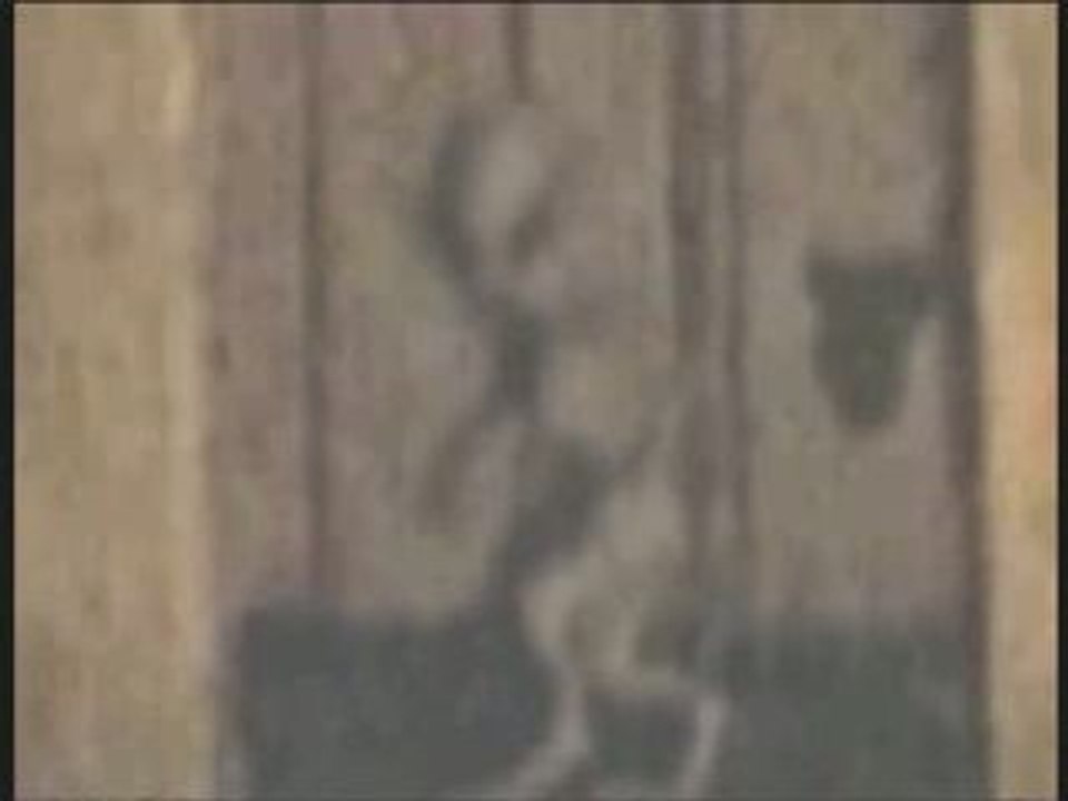 Chupacabra