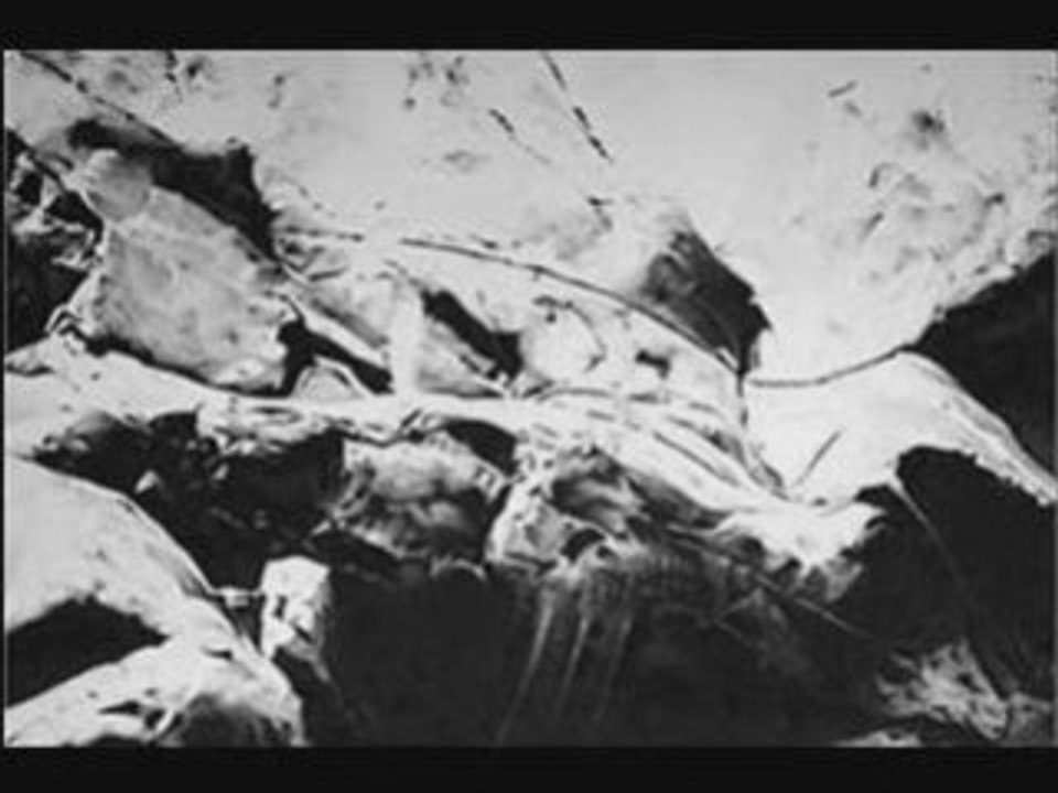 Dessins par sylvain levier