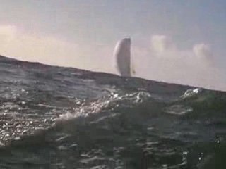 Cap Monde 2 - Entrainement janvier 2009