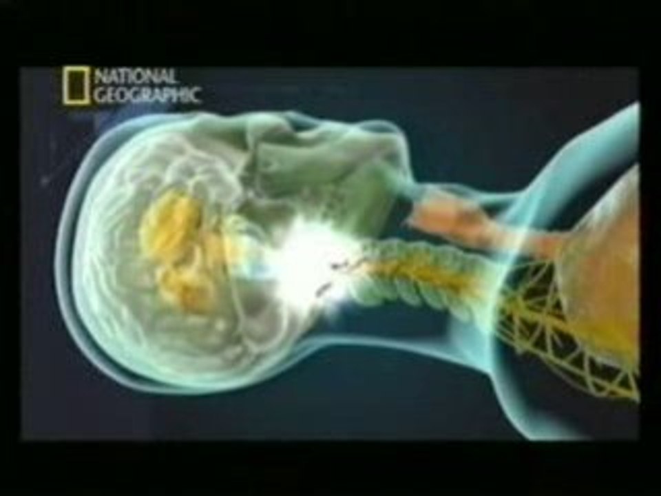 Decapitacion interna (Ricky)