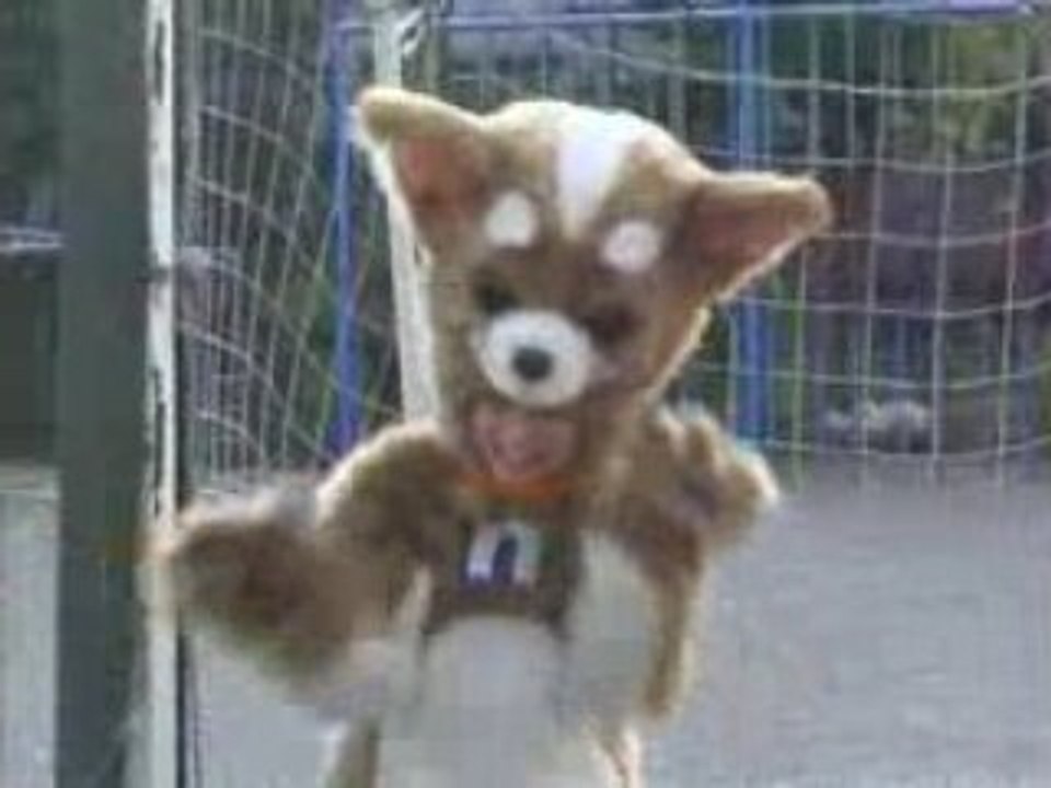 きょうのマイニチワワday02ゴールキーパー篇