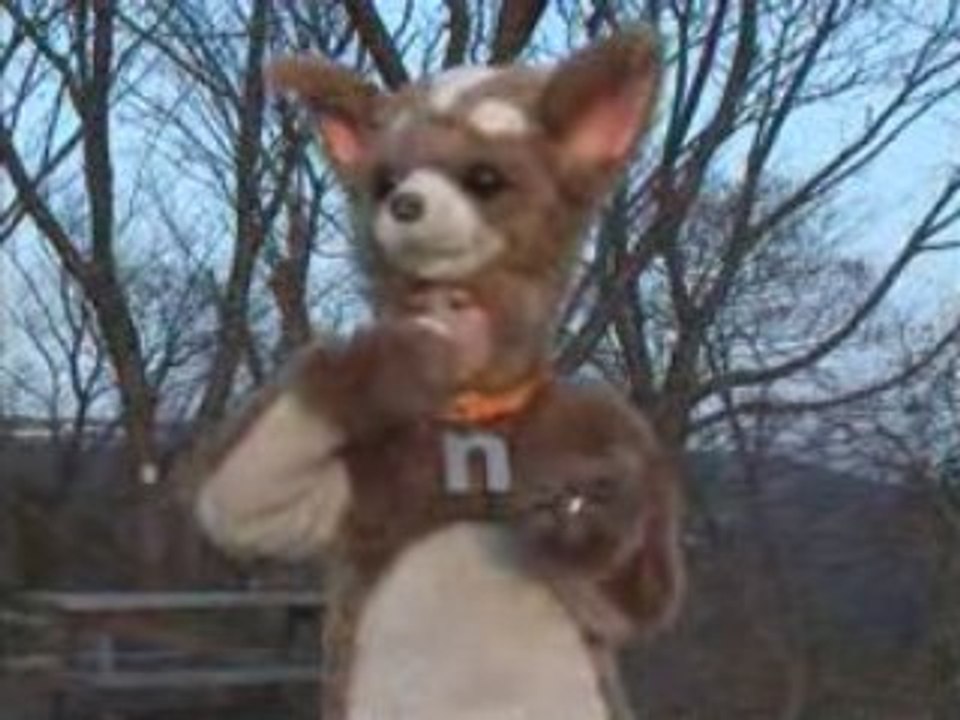 きょうのマイニチワワday06メントスコーラ篇