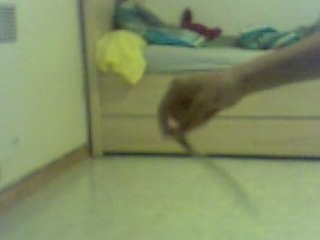 Triple infinity tuto