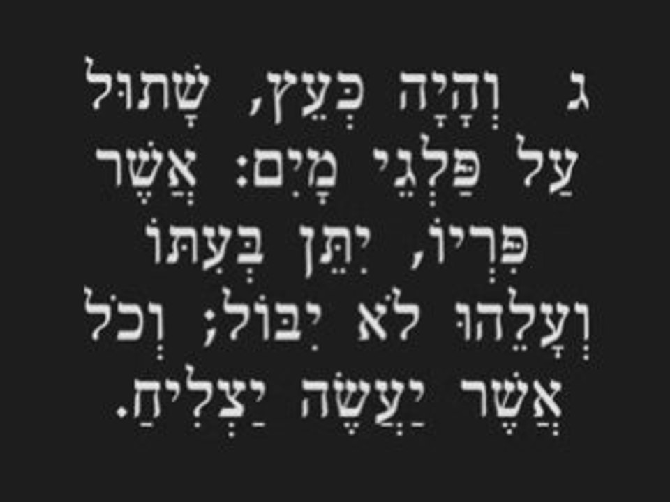 תהילים , Tehilim