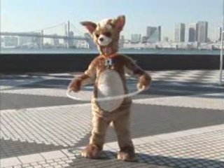 きょうのマイニチワワday13フラフープ篇