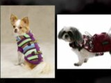 outward hound, designer dog beds, dog feeders, dog jackets,