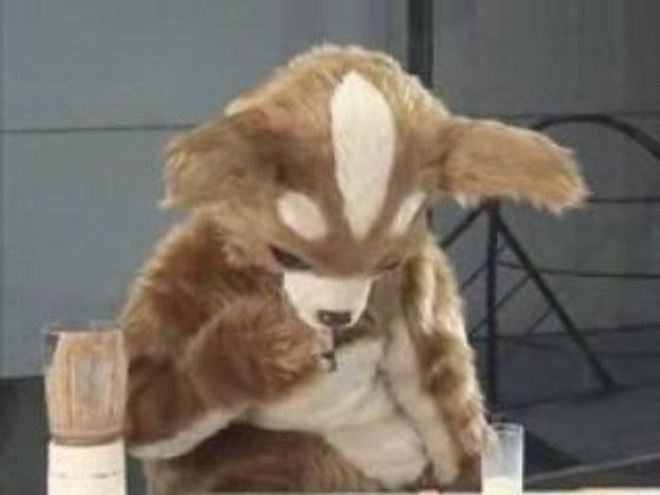 きょうのマイニチワワday15ミキサー篇