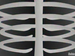 MD Beddah - Просто Прасе