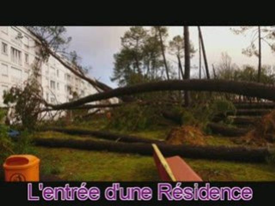 Tempete2501