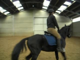 travail monté au trot