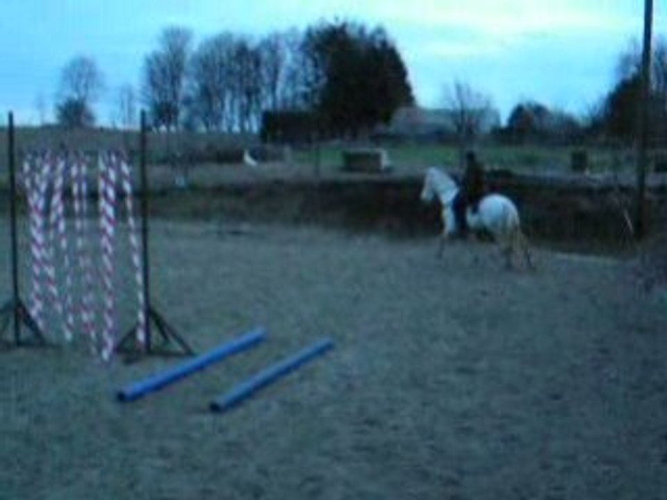 entrainement ptv trec en licol