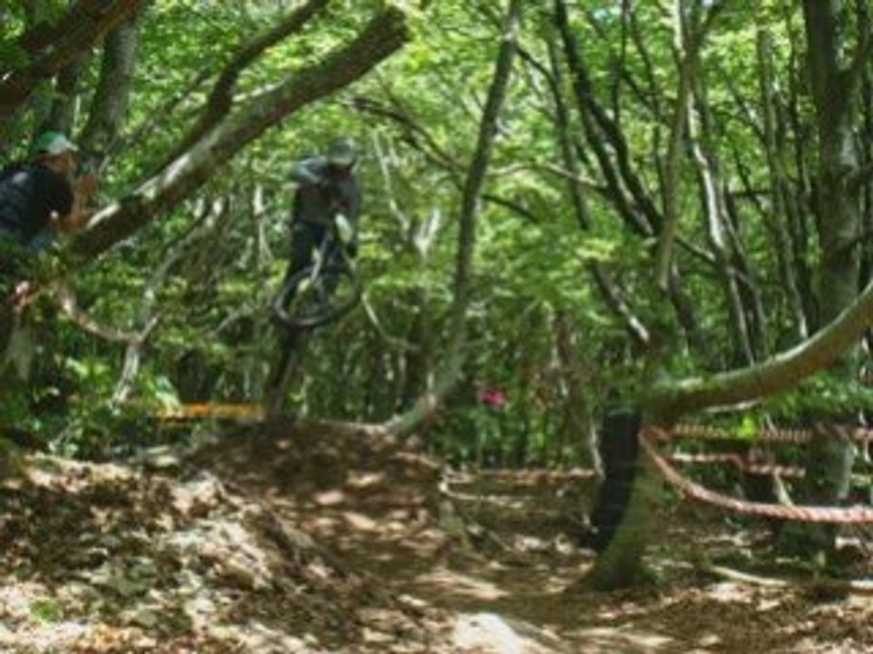 DH as-nore-tonic de pradelle cabardés