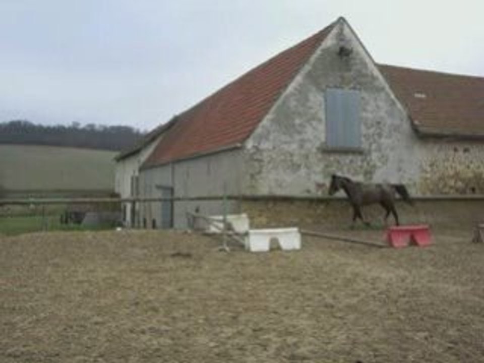 Saut en liberté ralentit