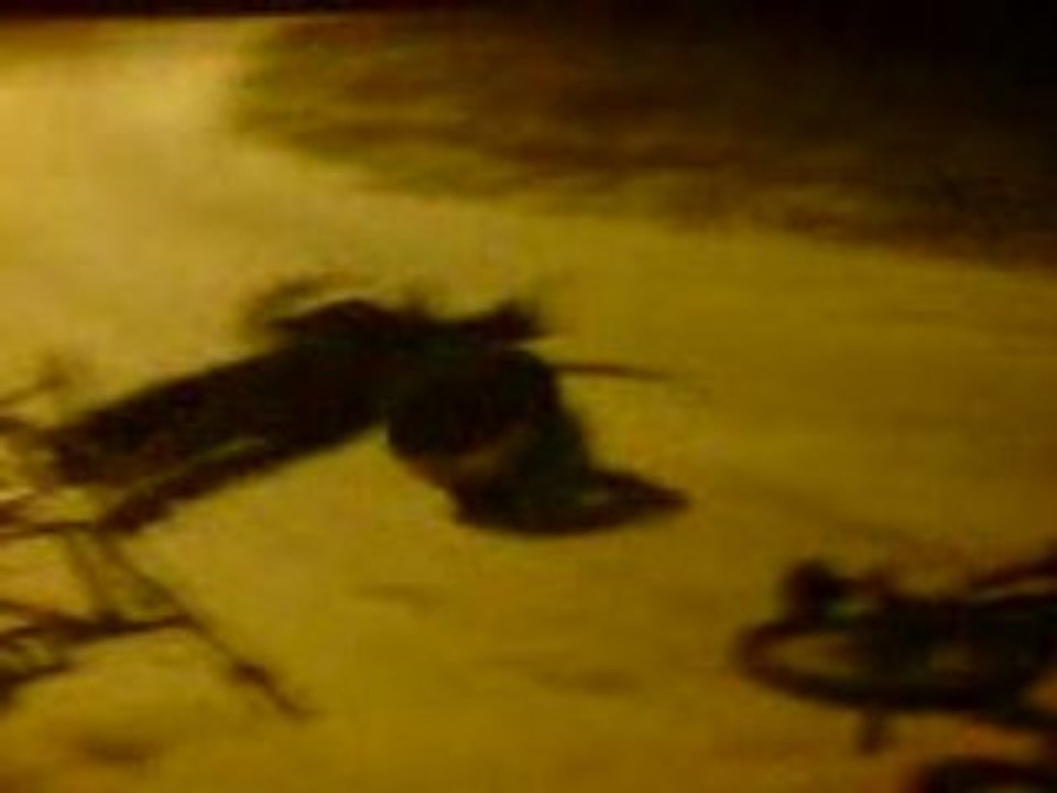 MOV00551