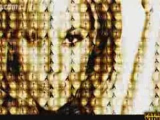 Елена Паришева - Не ме лъжи