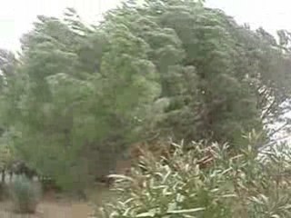 TEMPETE NARBONNE 24-01-09