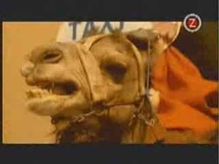 Antique - Opa Opa (HD)