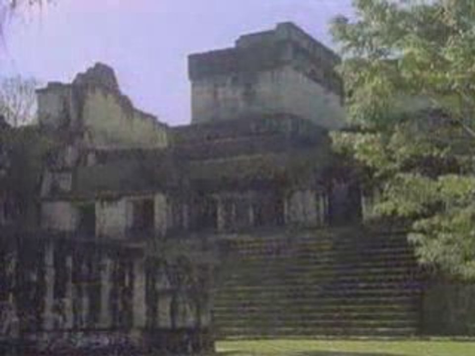 Maya Dream