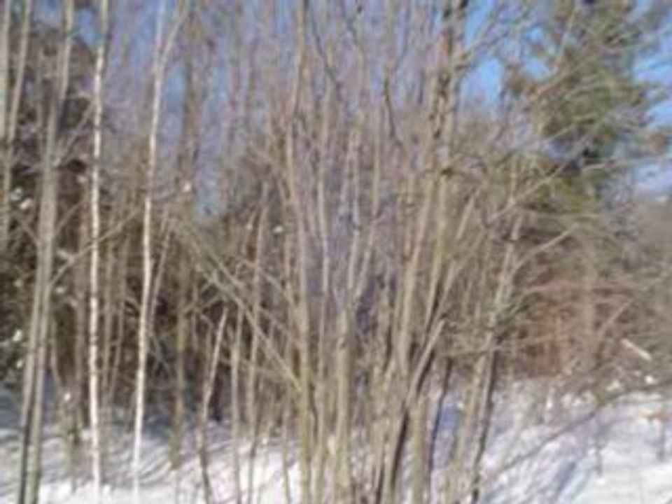 Les profondeurs du Quebec