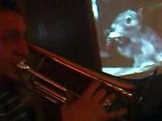 soirée du 26 janvier 2009