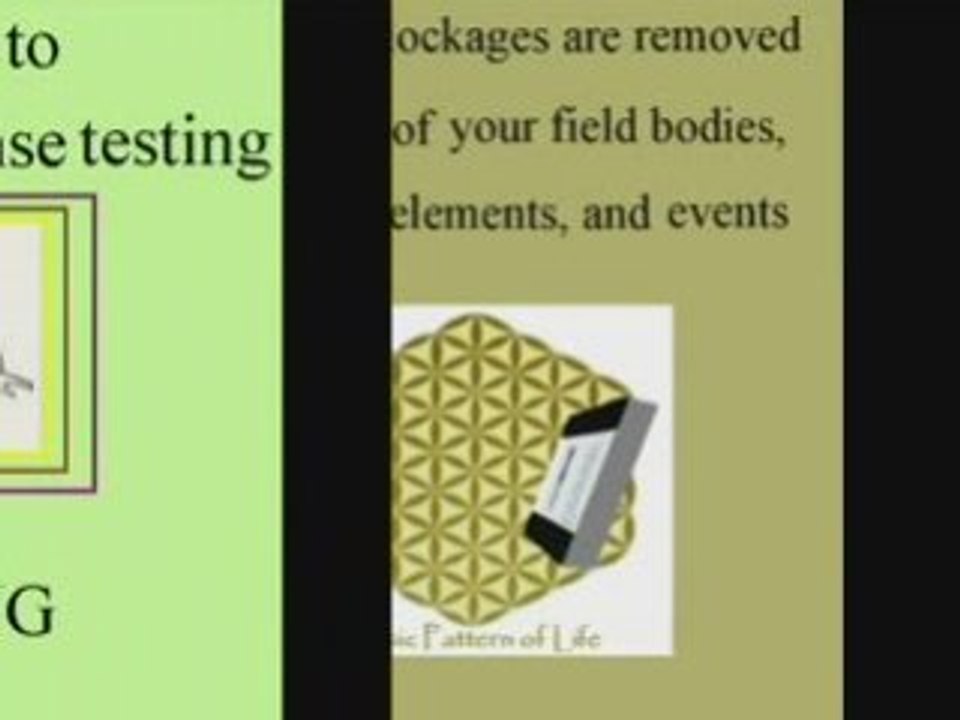 What's Inside the Slideshow?