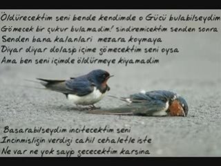 MuRaT YILDIZ SeniSewenÖLDü