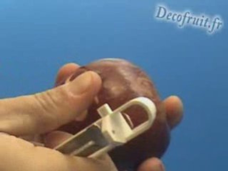 Gravure sur pomme