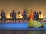 Nîmes/Festival Flamenco : Les Galvan à l'honneur