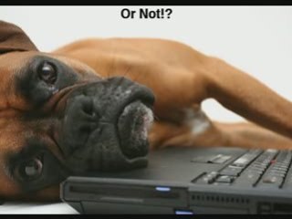 Learn the Secrets People Use to Make Money on the Internet