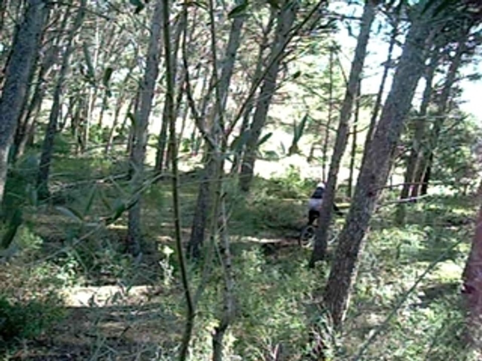 DSCN0126